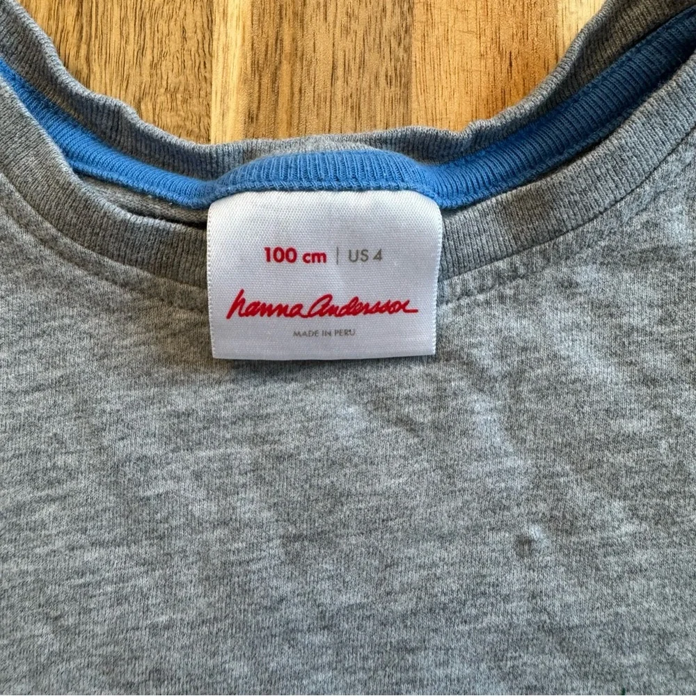 Hanna Andersson Kids Skateboard Pineapple Graphic T-Shirt‎ Cotton Size 100 US 4
